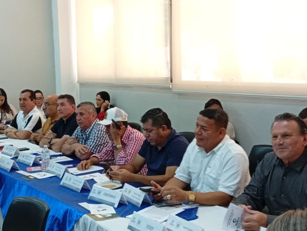 REUNION ORDINARIA CODEDE